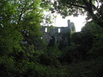 SX09698 Oystermouth Castle wall from surrounding woods.jpg